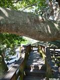 Parque Colón - AGUADILLA
